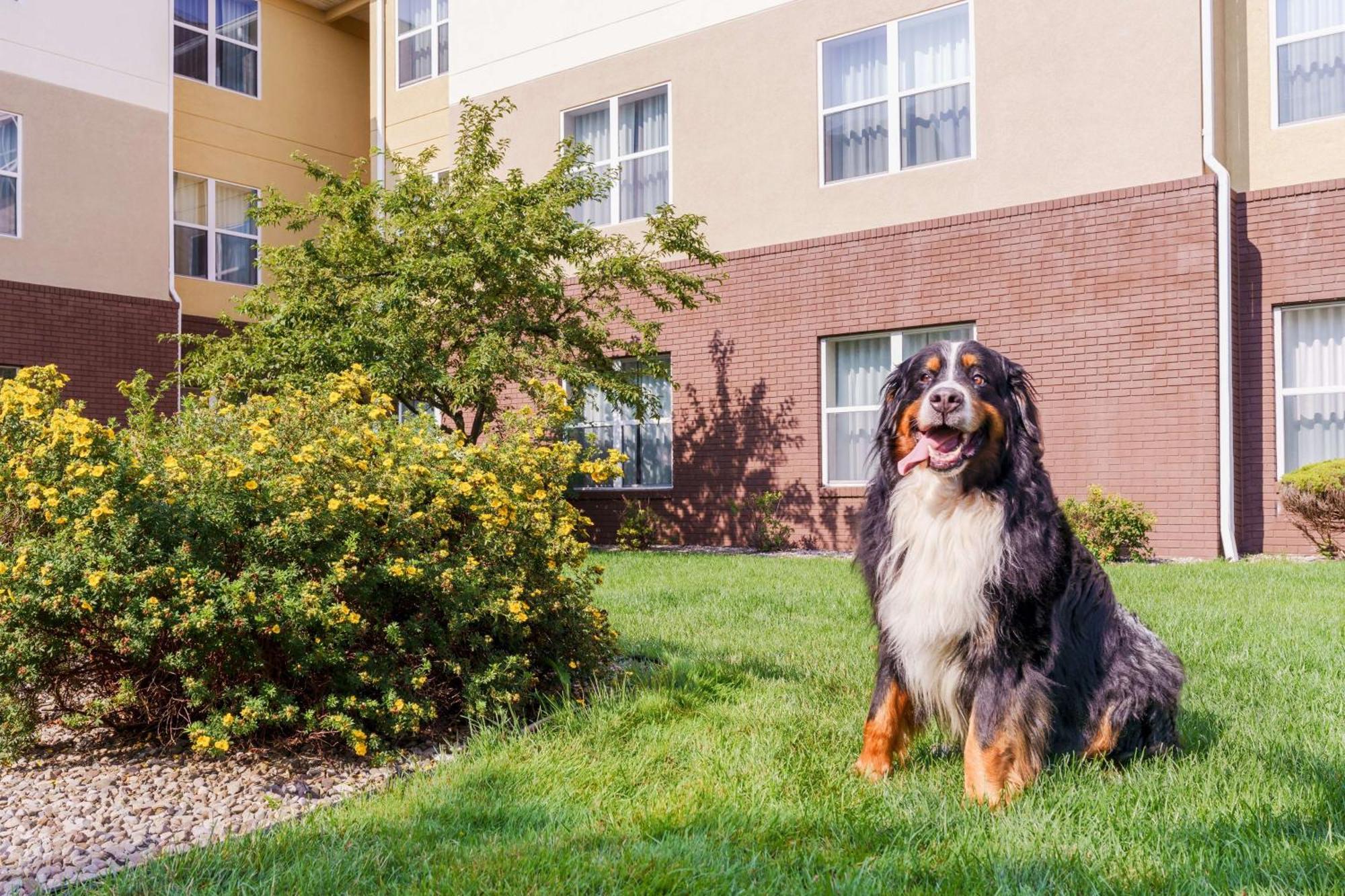 Homewood Suites Rochester-Henrietta Zewnętrze zdjęcie